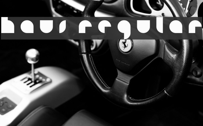 HAUS Regular Example 1
