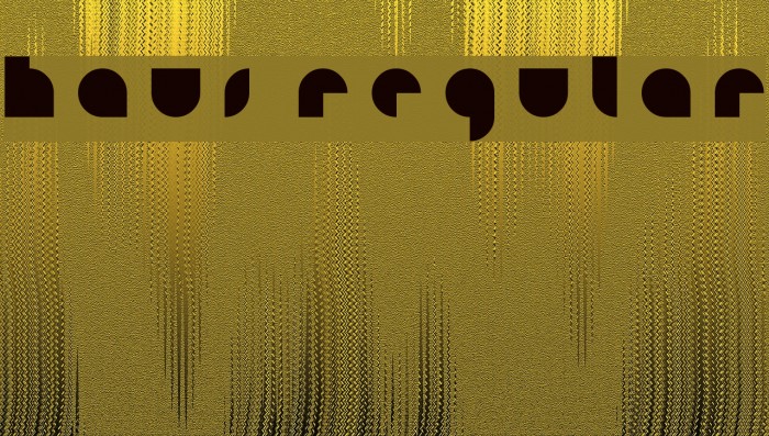 HAUS Regular Example 3