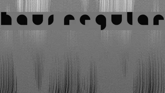 HAUS Regular Font examples