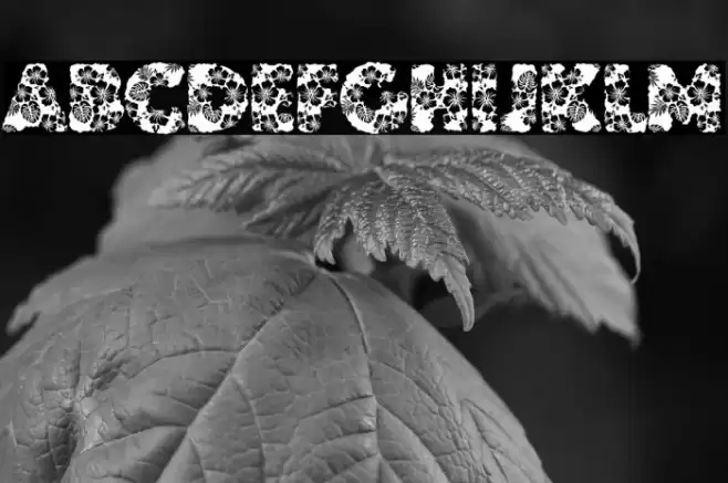 HAWAIIAN DREAMS PERSONAL USE Font examples