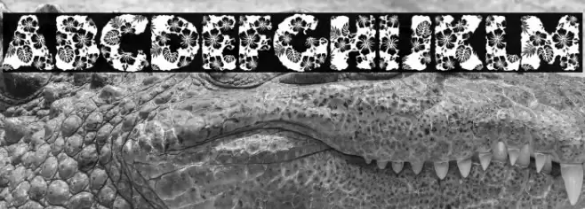 HAWAIIAN DREAMS PERSONAL USE Font examples