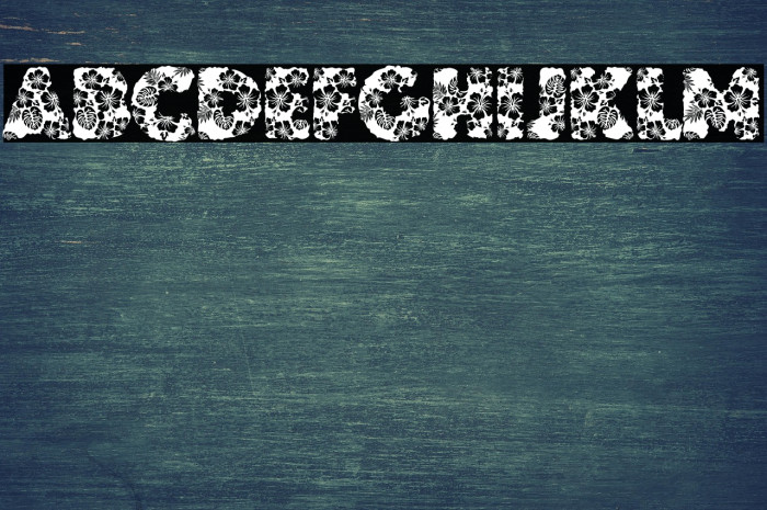 HAWAIIAN DREAMS PERSONAL USE Example 3