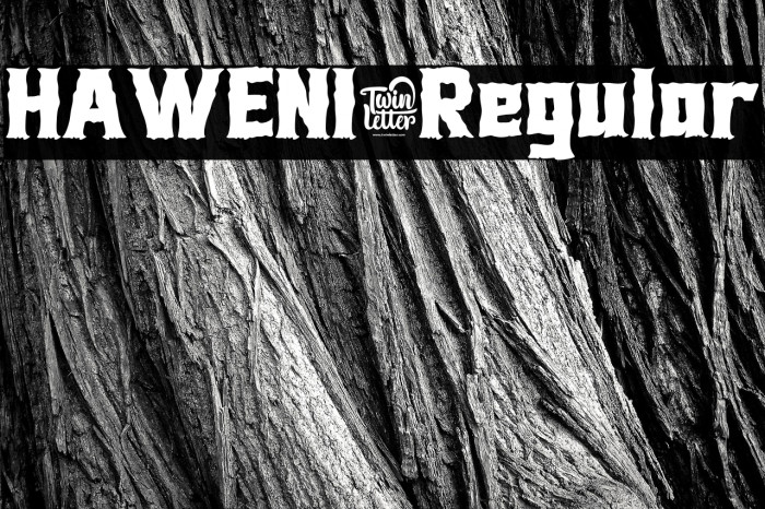 HAWENI-Regular Example 2