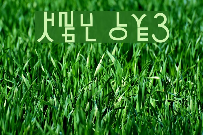 HaNgUl LoVe3 Font examples