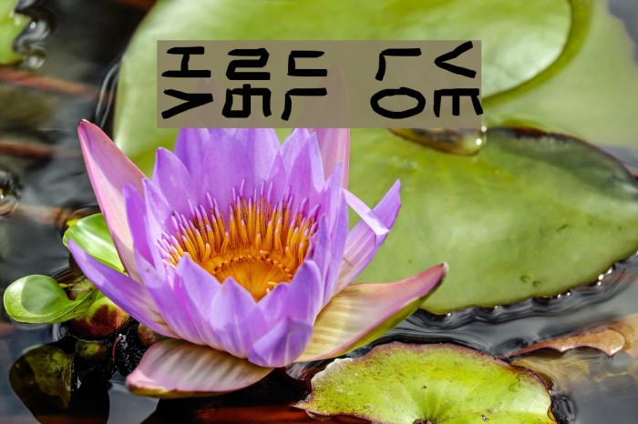 HaNgUl LoVe Font examples