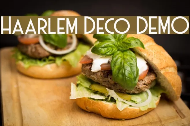 Haarlem Deco DEMO Example 1