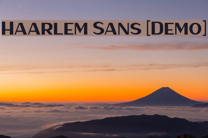 Haarlem Sans [Demo] Example 1