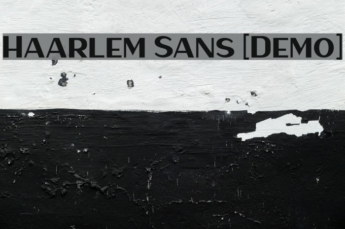 Haarlem Sans [Demo] Example 3