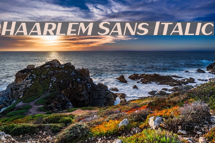 Haarlem Sans Italic Font examples