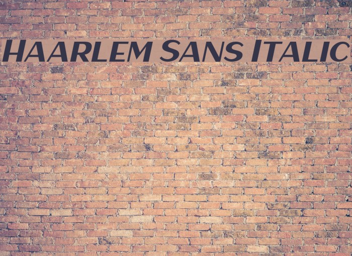 Haarlem Sans Italic Font examples