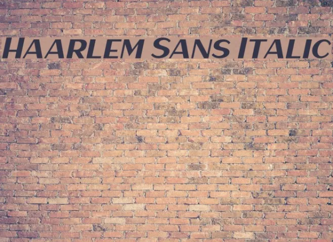 Haarlem Sans Italic Example 2