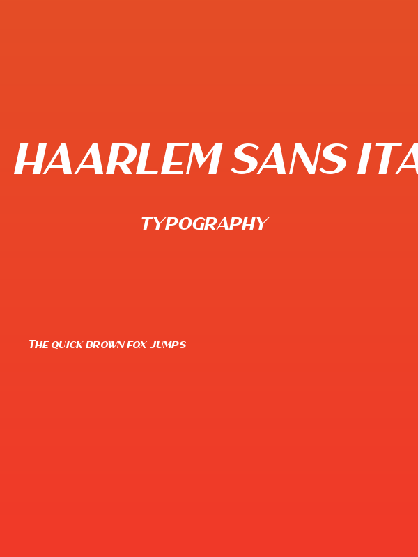 Haarlem Sans Italic Poster