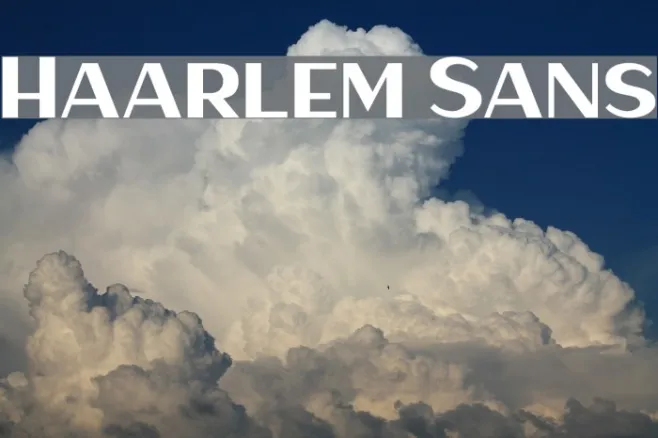 Haarlem Sans Example 1