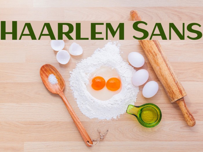 Haarlem Sans Font examples