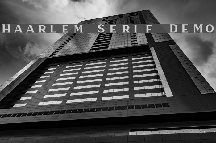 Haarlem Serif DEMO Font examples