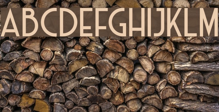HaarlemDecoDEMO Font examples