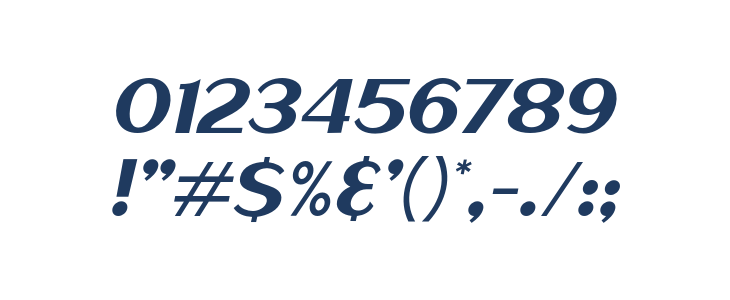 HaarlemSans-Italic Other Characters