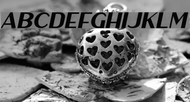 HaarlemSans-Italic Font examples