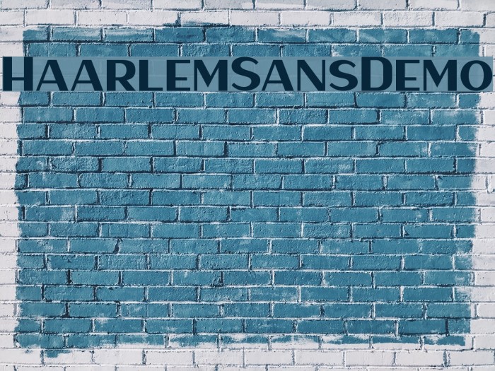 HaarlemSansDemo Font examples