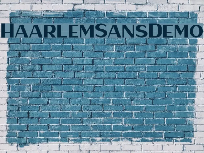 HaarlemSansDemo Example 1
