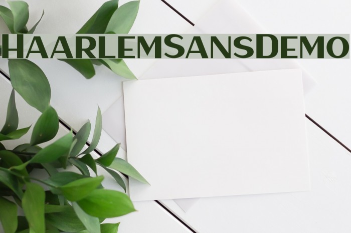 HaarlemSansDemo Font examples