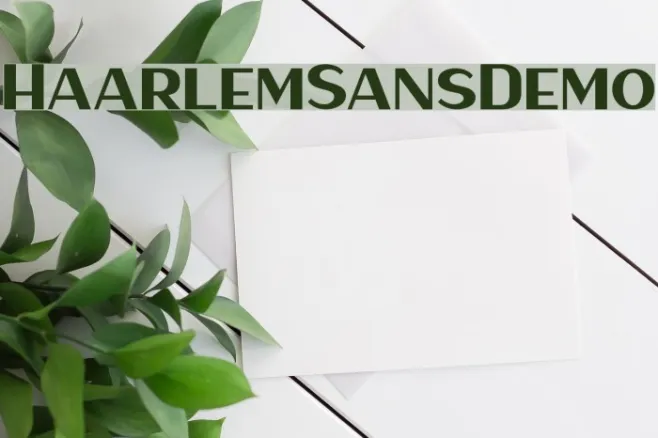HaarlemSansDemo Example 2