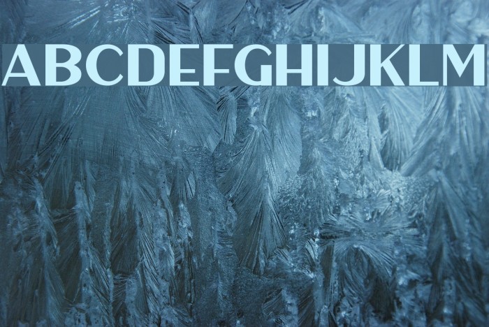 HaarlemSans Example 1