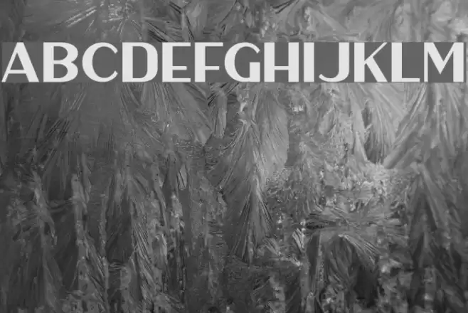 HaarlemSans Font examples