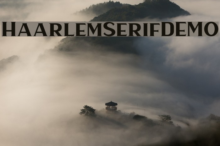 HaarlemSerifDEMO Font examples