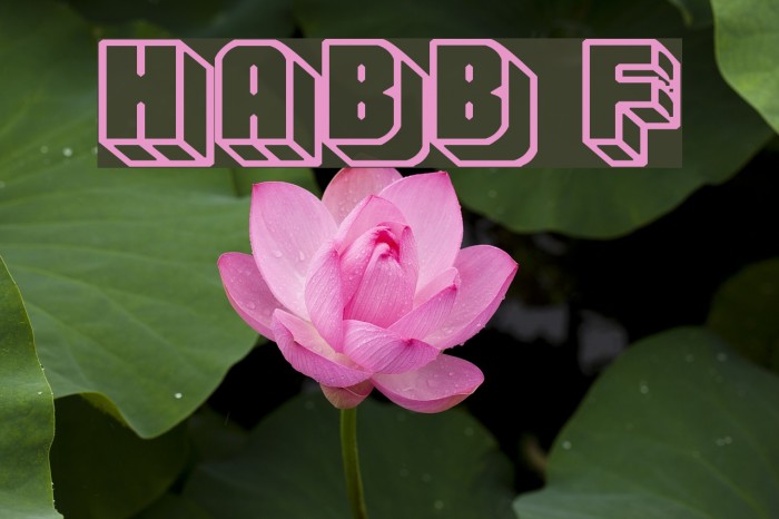 Habbo Font examples