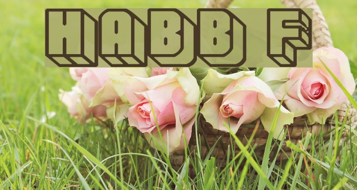 Habbo Font examples