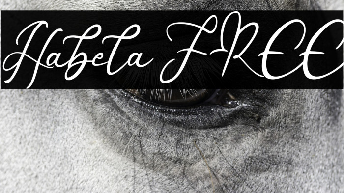 Habela FREE Example 2