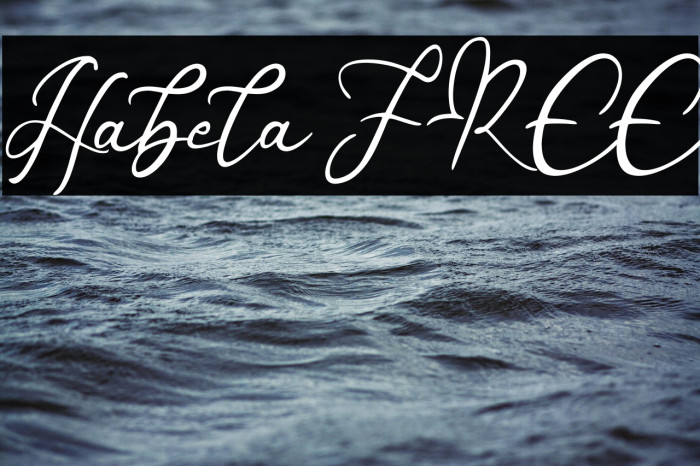 Habela FREE Example 3