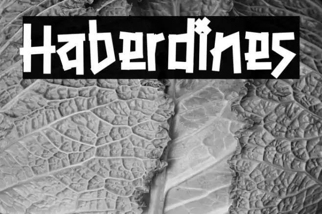 Haberdines Font examples