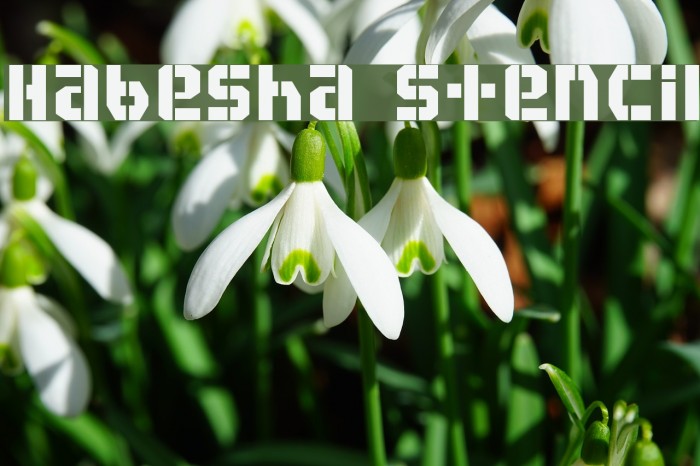 Habesha stencil Font examples