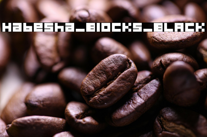 Habesha_Blocks_BLACK Example 1