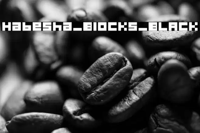 Habesha_Blocks_BLACK Schriftart examples