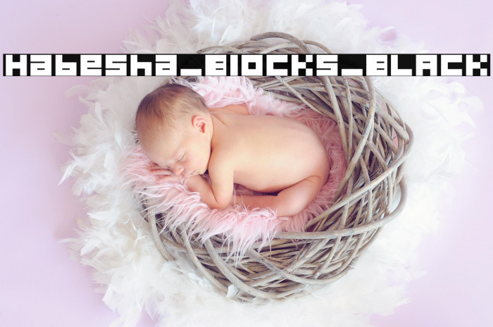 Habesha_Blocks_BLACK Example 2