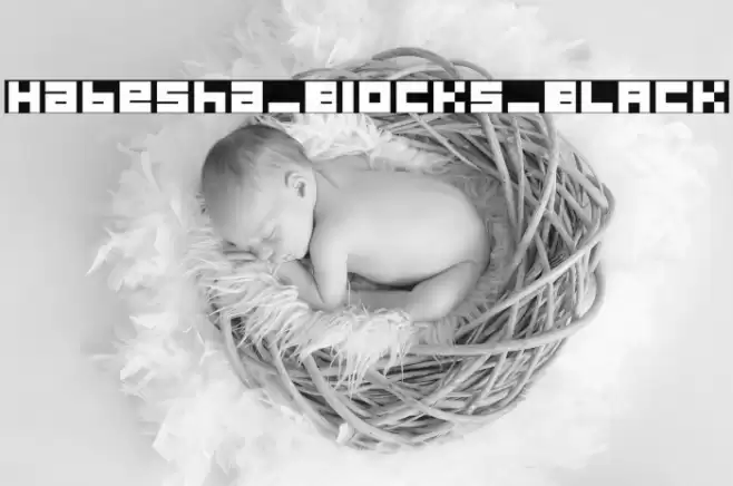 Habesha_Blocks_BLACK Schriftart examples