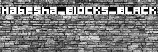 Habesha_Blocks_BLACK Schriftart examples