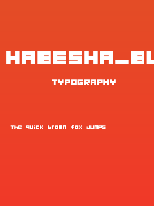 Habesha_Blocks_BLACK Poster