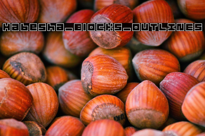 Habesha_Blocks_OUTLINES Example 2