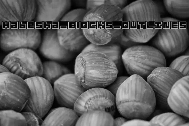 Habesha_Blocks_OUTLINES Font examples