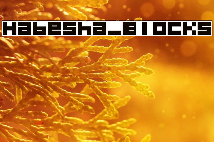 Habesha_Blocks Example 1