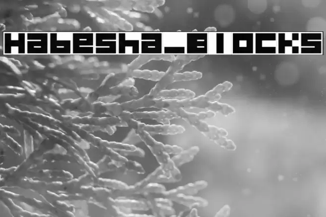 Habesha_Blocks Font examples