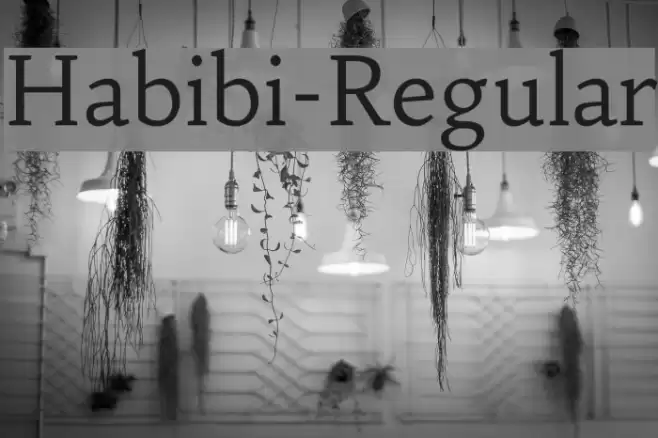 Habibi-Regular Font examples