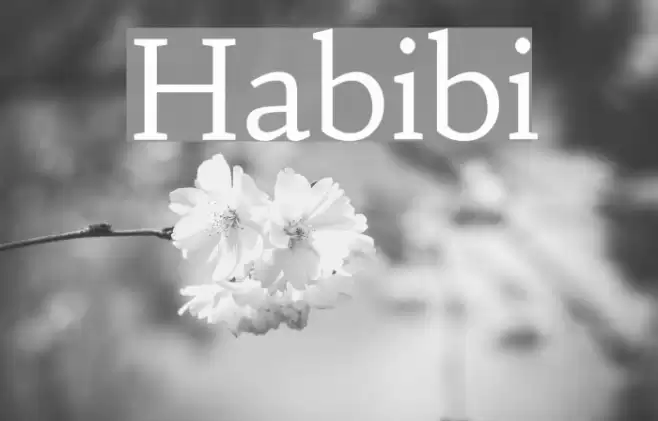 Habibi Font examples