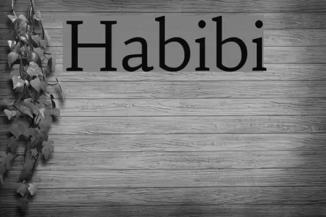 Habibi Font examples