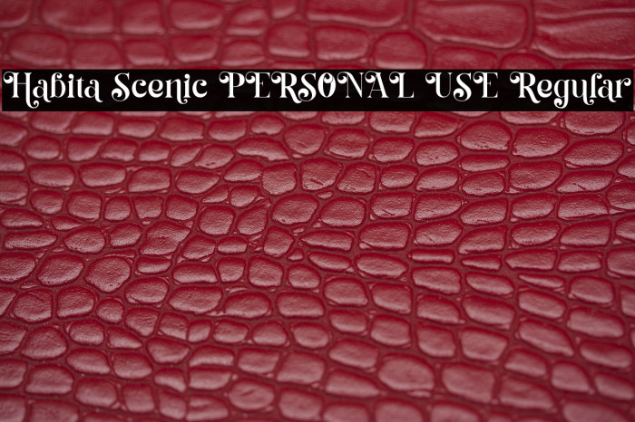 Habita Scenic PERSONAL USE Regular Example 2