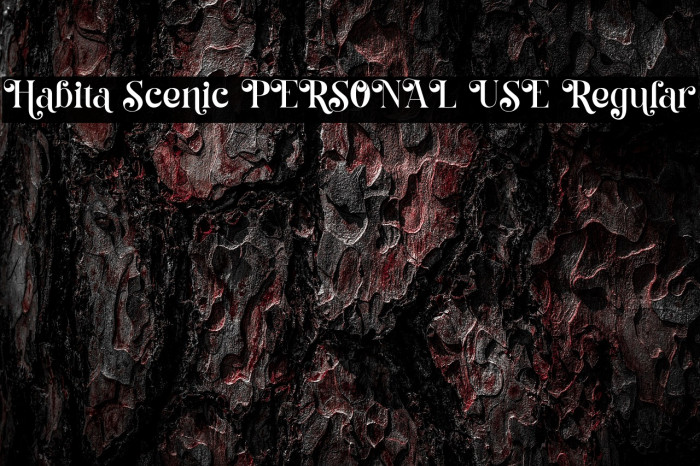 Habita Scenic PERSONAL USE Regular Example 3